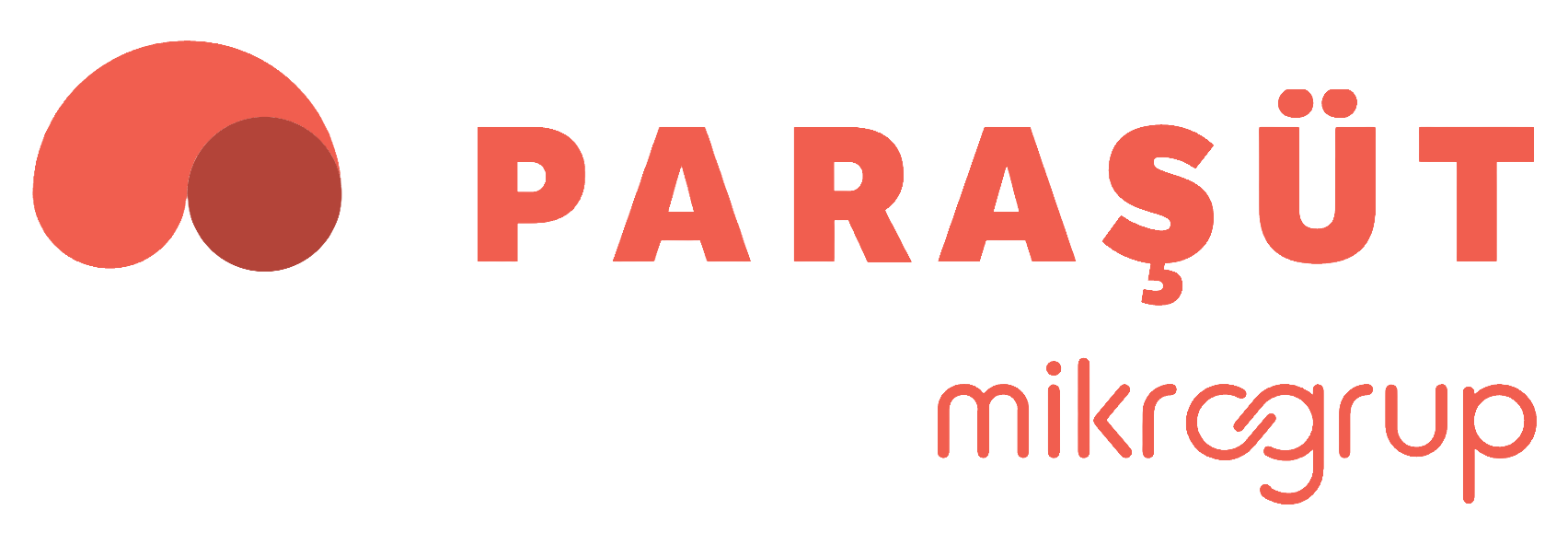 Paraşüt muhasebe programı entegrasyonu